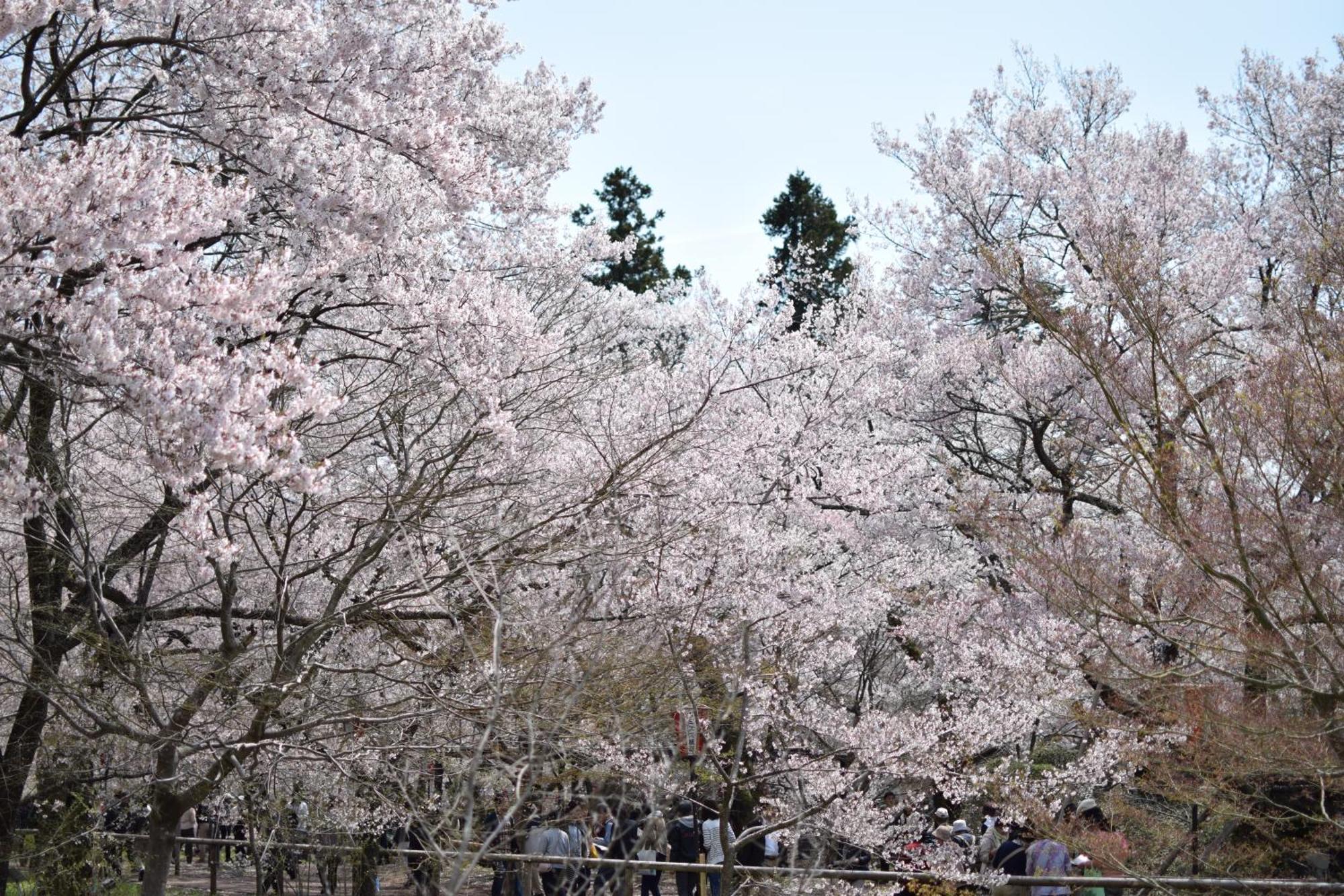Hotel Yamabuki Komagane Buitenkant foto